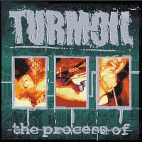 Turmoil - The Process Of