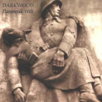 Darkwood - Flammende Welt