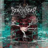 Borknagar - Empiricism