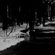 Veiled Allusions - Veilled Allusions/Vinterriket Split