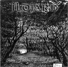 Ildjarn - Forest Poetry